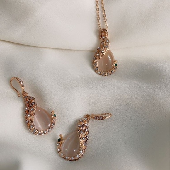 Peacock Beauty! - Picture 1 of 1